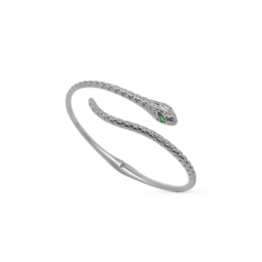 Bracelet Snake